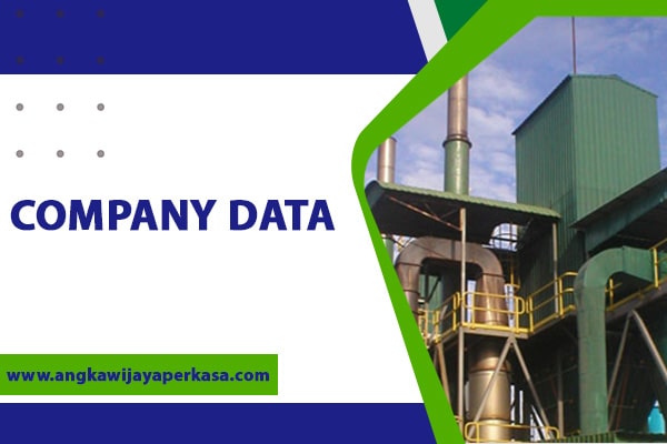 company data